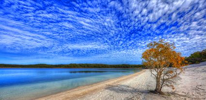 Lake McKenzie - Fraser Island - QLD T (PB5D 00 51A1672)